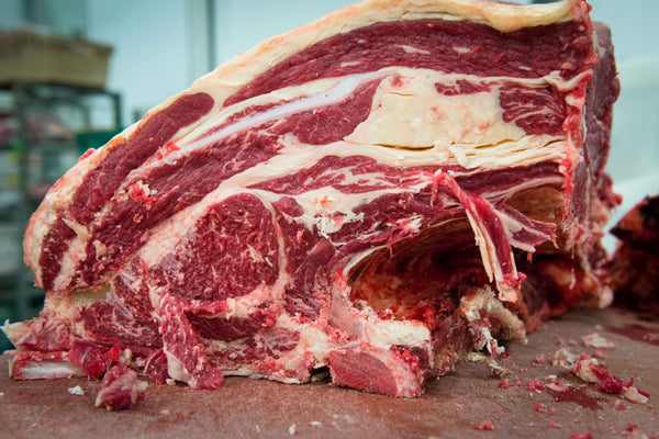 Why Animal Fat is Good For You